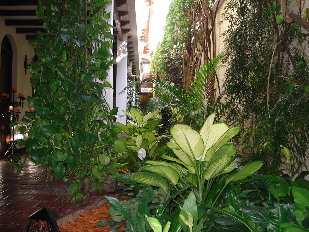 أنتيغوا غواتيمالا Casa Florencia Hotel المظهر الخارجي الصورة
