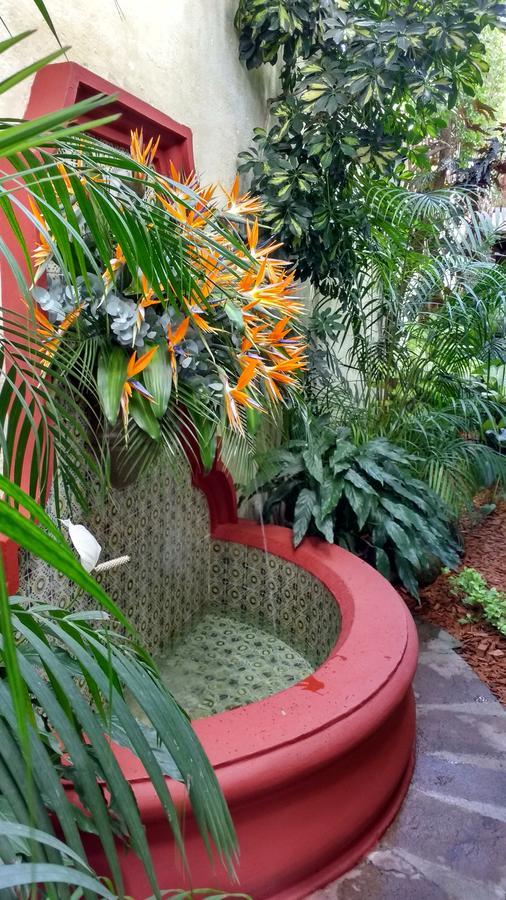 أنتيغوا غواتيمالا Casa Florencia Hotel المظهر الخارجي الصورة